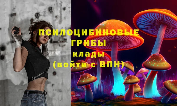 PSILOCYBIN Верея