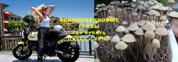 кокс Бородино