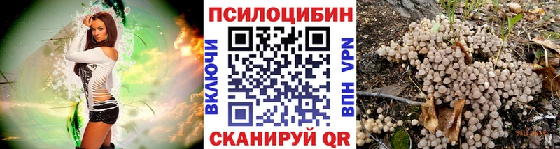 где найти   Обь  Псилоцибиновые грибы Magic Shrooms 